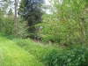 paysage06
