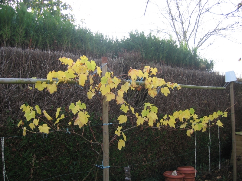 img_2361 img_2361